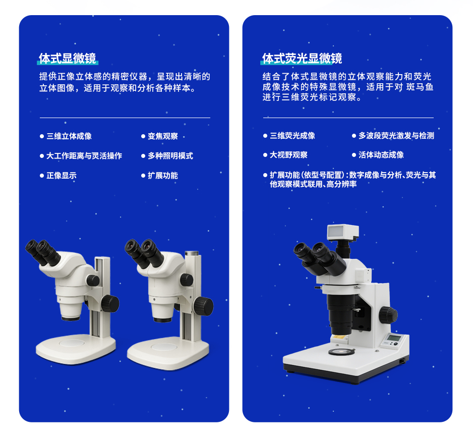 斑马鱼形态分析系统-百环生物