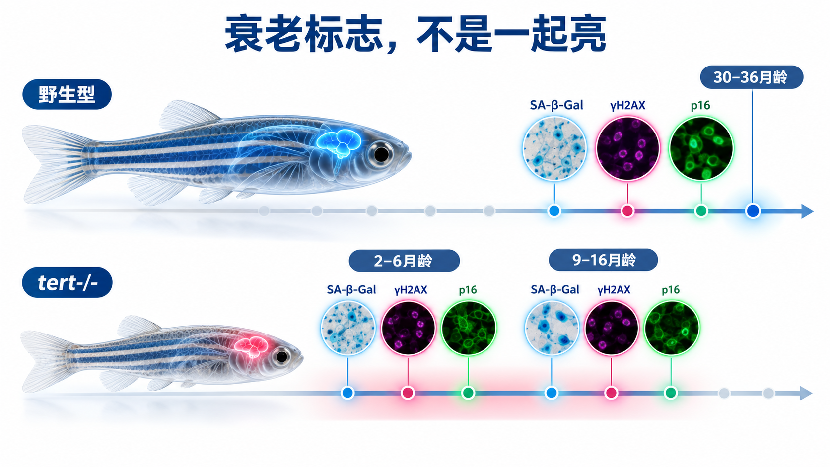 1792475396619655.png 37631362-ebb9-4778-ac4b-fbe6db41fd06.png