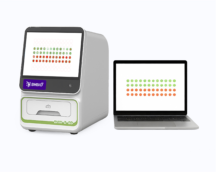斑马鱼高通量2D行为分析系统
