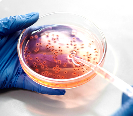 营养保健食品功效与安全性评价