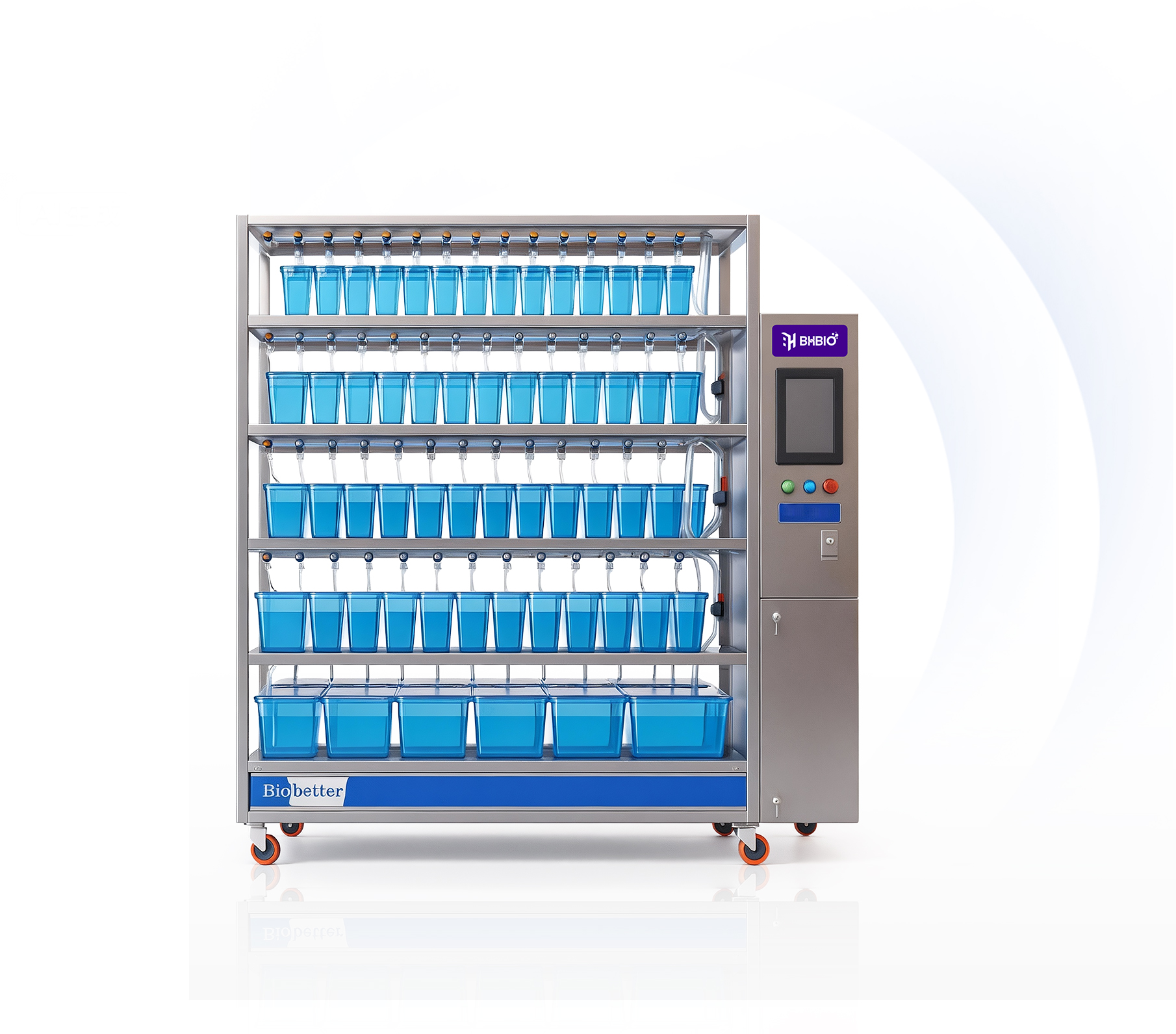 斑马鱼养殖系统