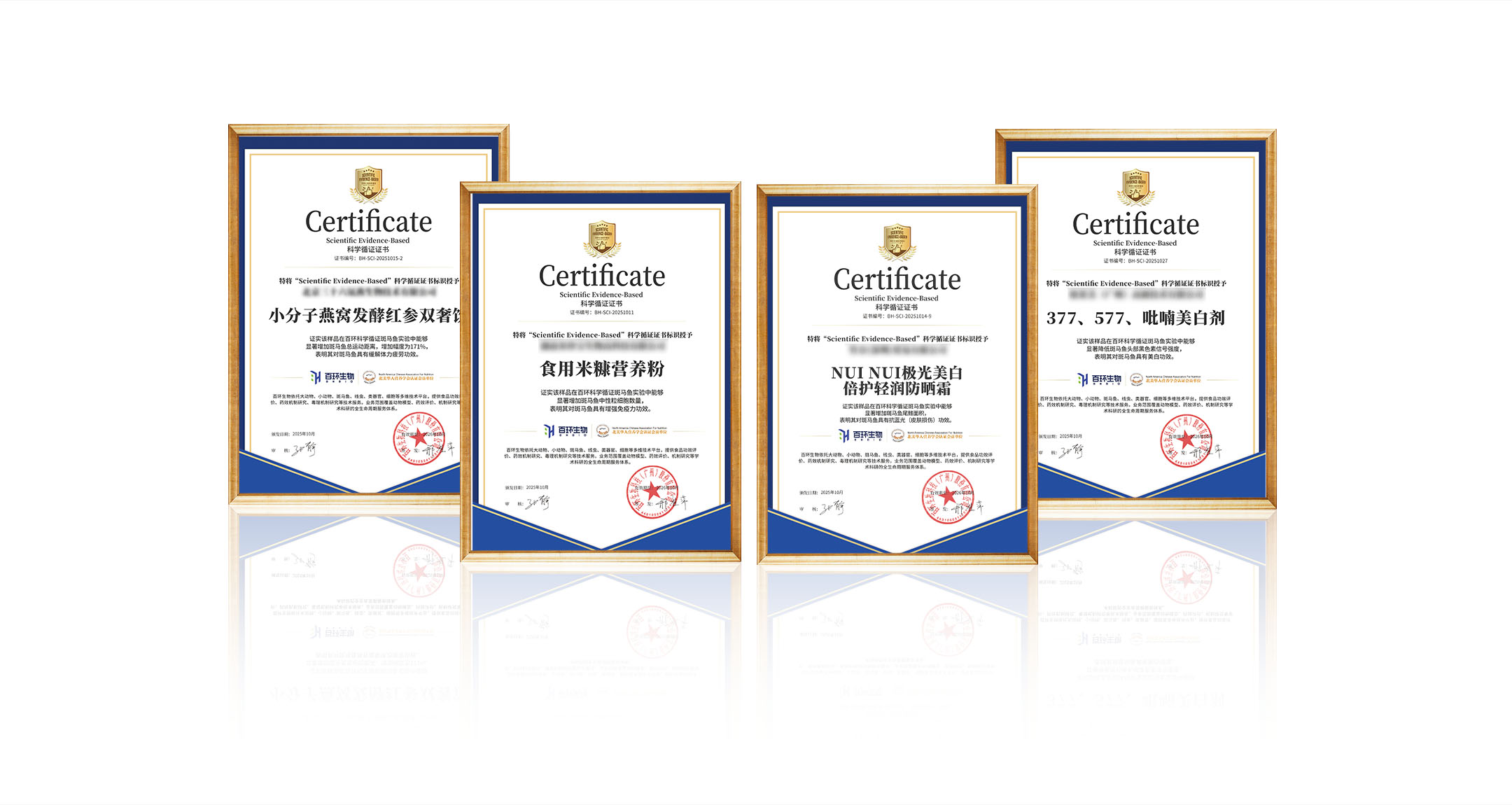 科学循证证书案例