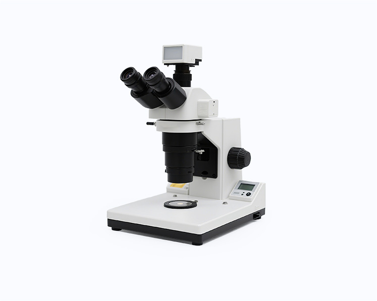 体式荧光显微镜