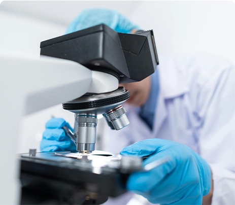 药物功效与安全性评价